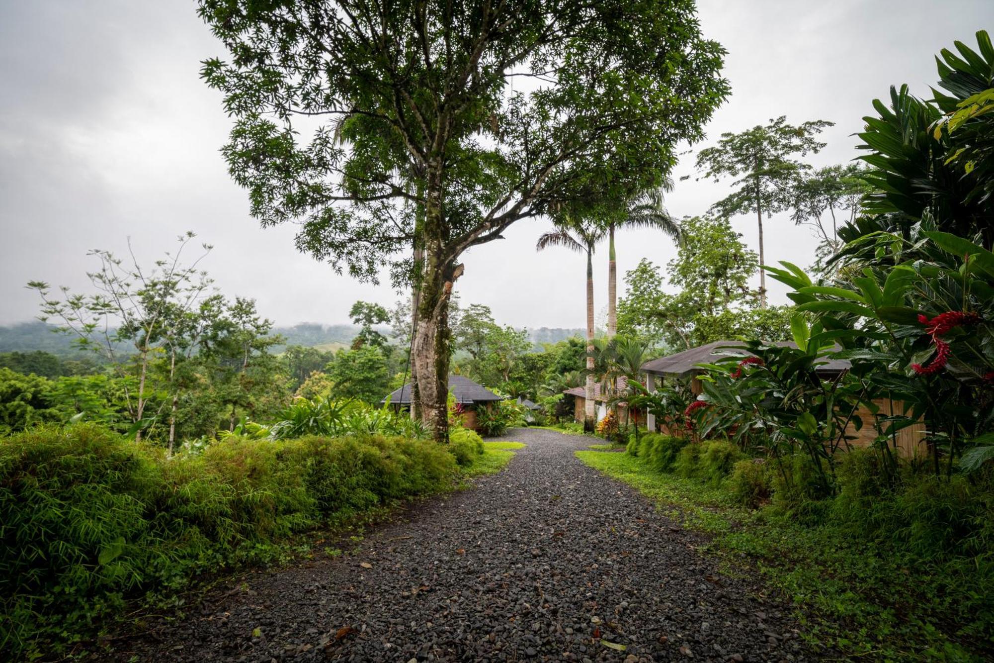 The River House - Upscale Lodge Puerto Quito Exterior foto