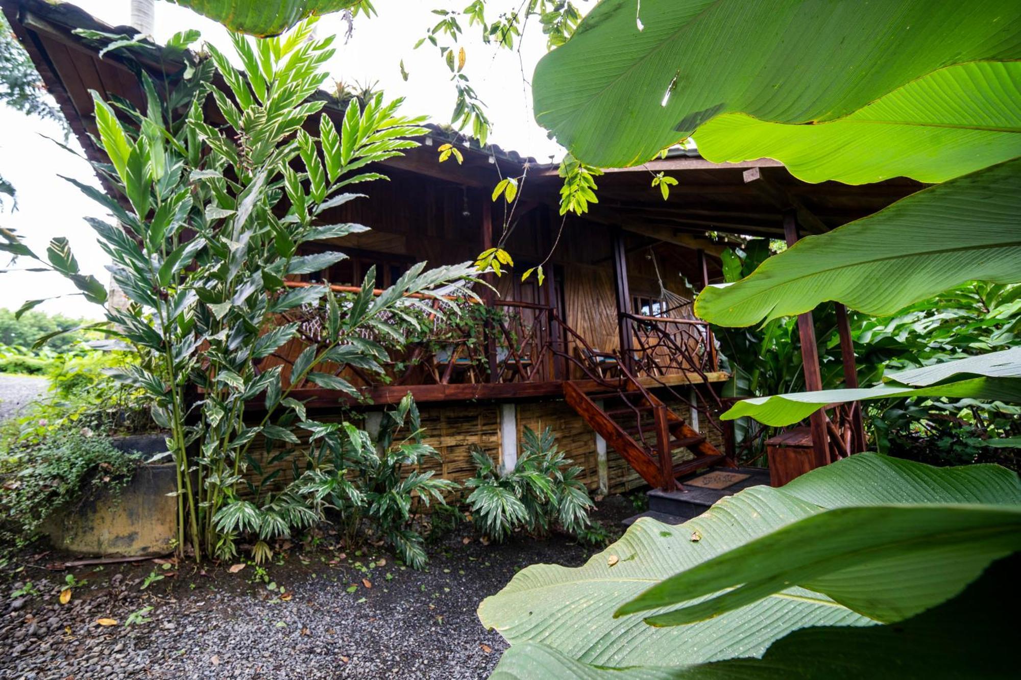 The River House - Upscale Lodge Puerto Quito Habitación foto